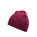 Beetroot - 1