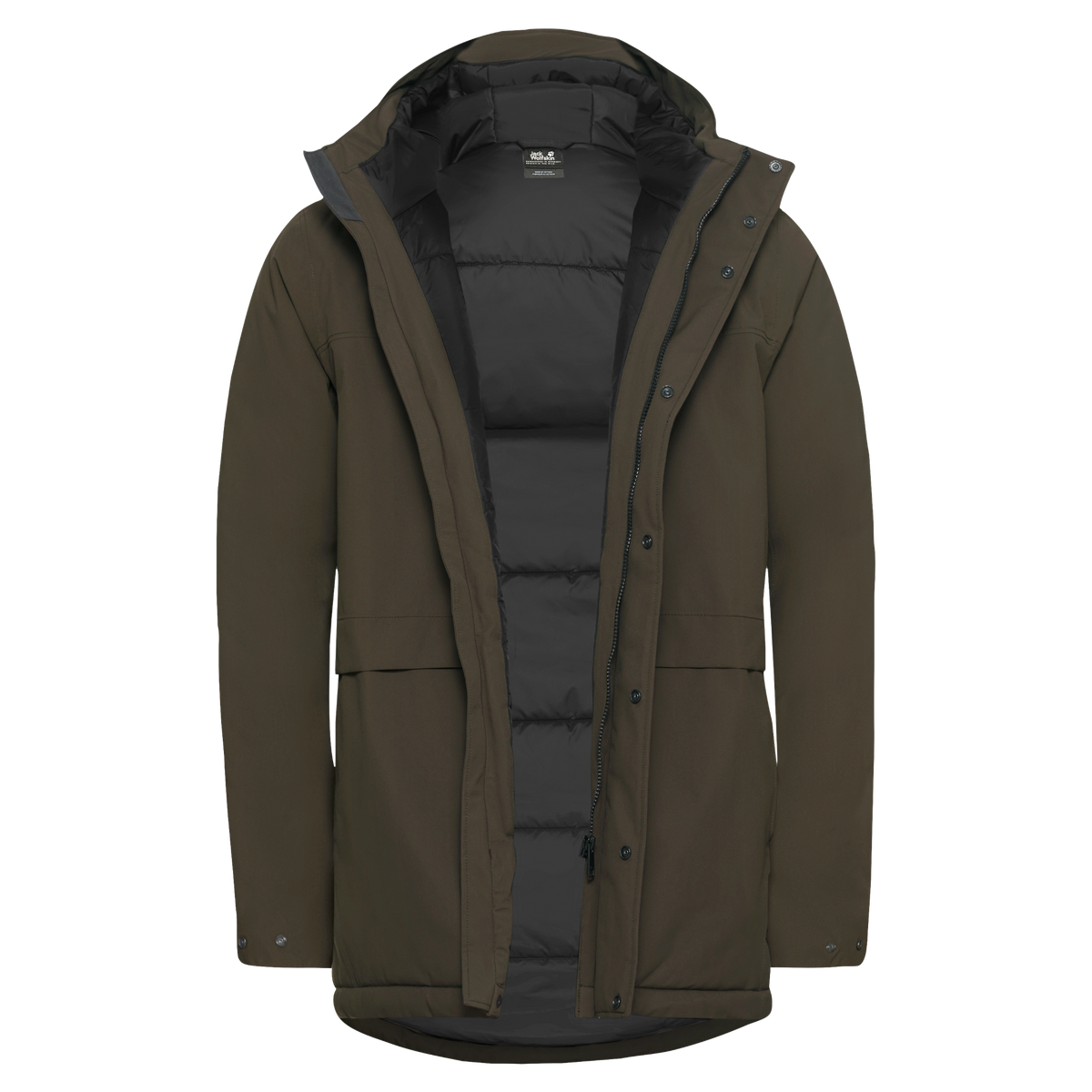 Jack Wolfskin COLD CAMP COAT Herren in Obsidian Moss – Rückansicht