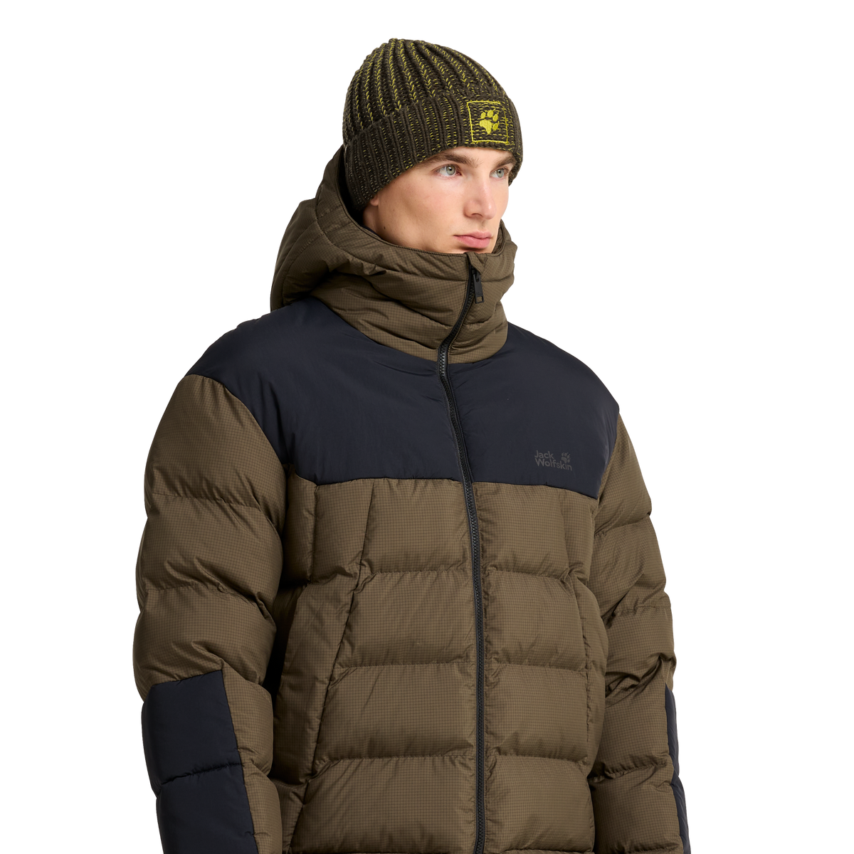 Jack Wolfskin BADGE PAW BEANIE Obsidian Moss Studioansicht 3