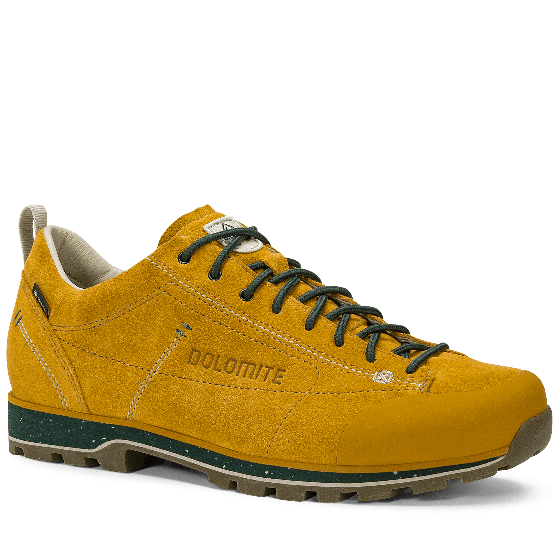 Dolomite 54 LOW EVO GTX