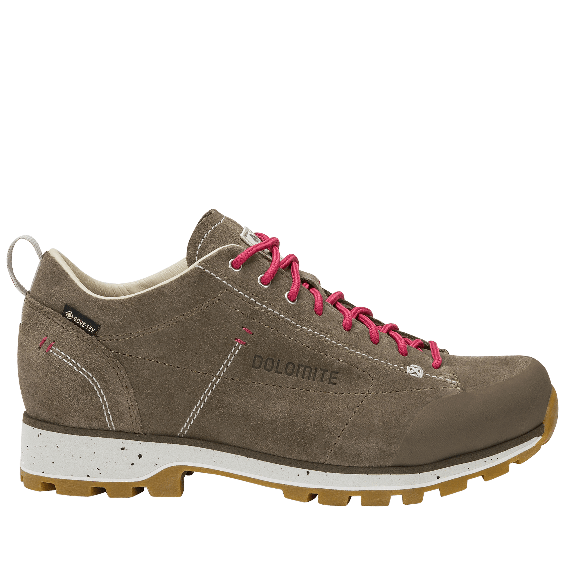 Dolomite 54 LOW EVO GTX WOMEN