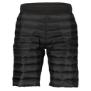 Scott M SHORTS INSULOFT TECH