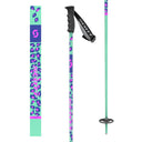 Scott W KACY SKI POLE