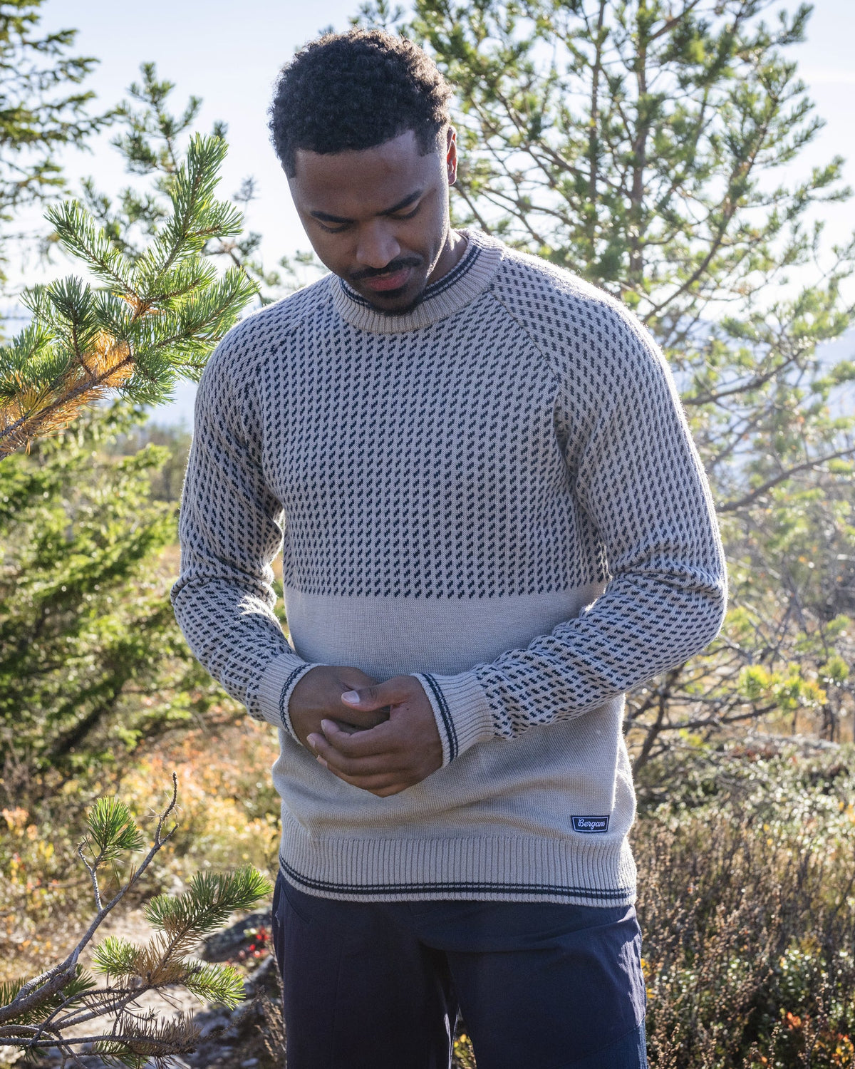 Bergans M ALVDAL WOOL JUMPER - Sweater at PeakStyle