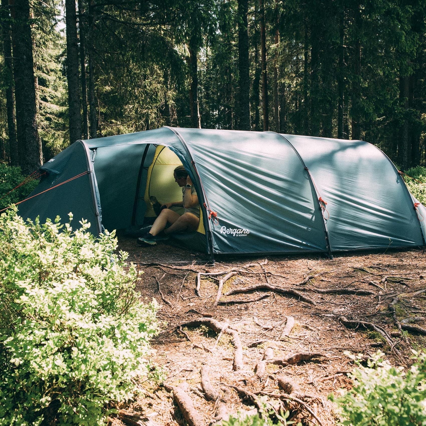 Bergans TROLLHETTA TUNNEL 4 - PERS TENT - Tents at PeakStyle