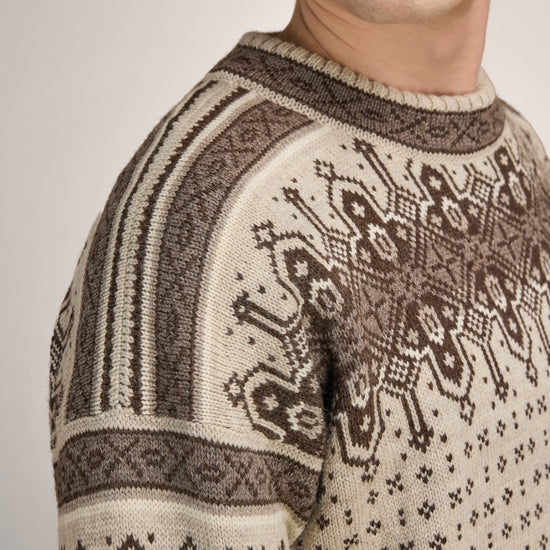 Dale Of Norway ALBERTVILLE Wollpullover Herren | Birch - Coffee | Detail | DALE-96351-M00-05