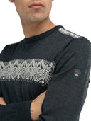 Dale of Norway M STENBERG SWEATER - Oberbekleidung bei PeakStyle
