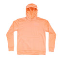 Devold EVERYDAY HOODIE WMN - Hoodies bei PeakStyle