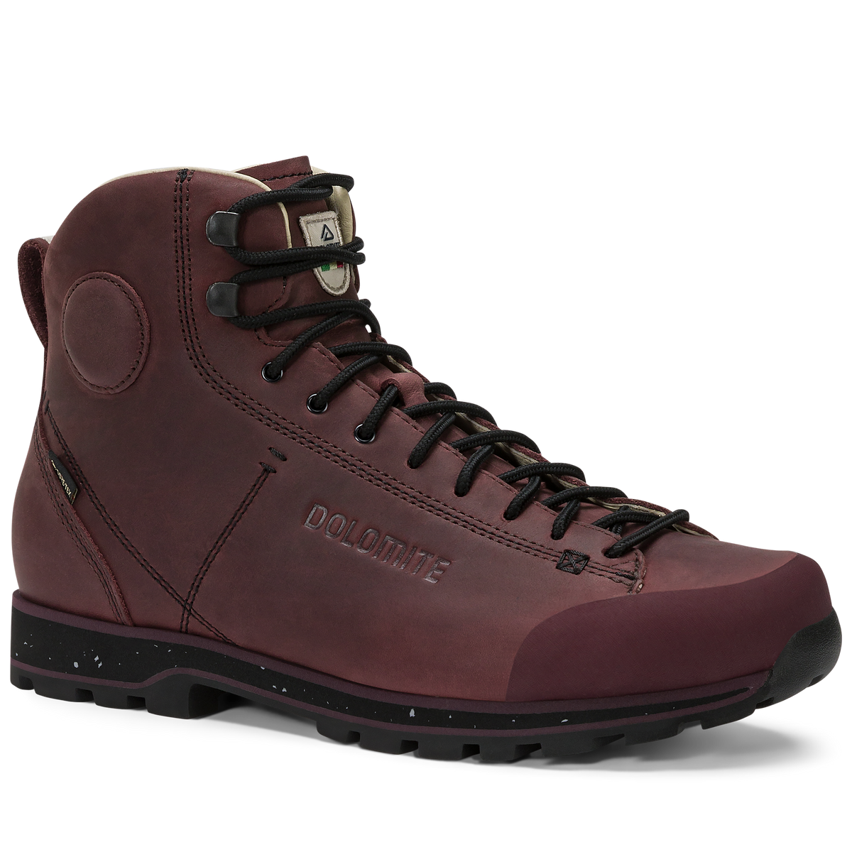 Dolomite 54 High FG Evo GORE-TEX Schuh – Rosewood Brown