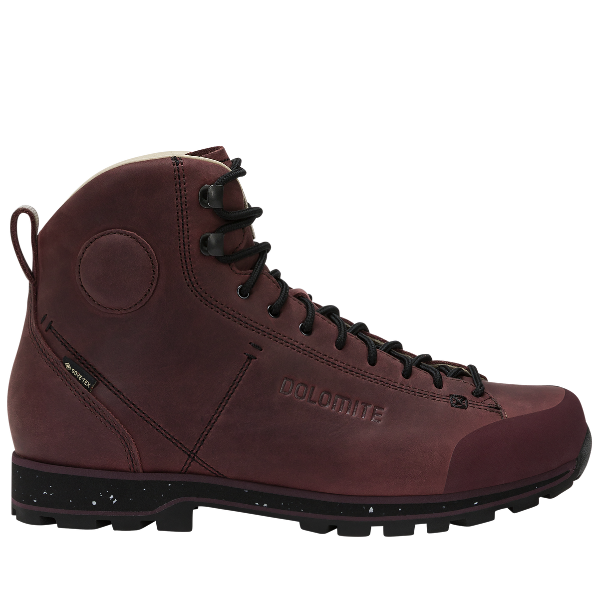 Dolomite 54 High FG Evo GORE-TEX Schuh – Rosewood Brown