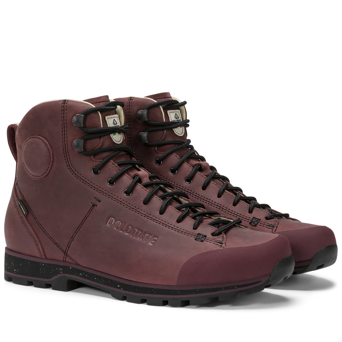Dolomite 54 High FG Evo GORE-TEX Schuh – Rosewood Brown