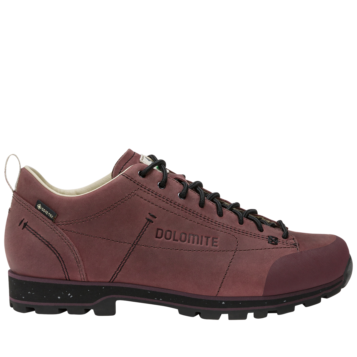Dolomite 54 Low FG Evo GORE-TEX Schuh – Rosewood Brown