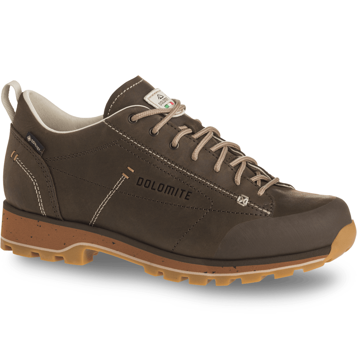 Dolomite 54 Low FG Evo GORE-TEX women's shoe - Shoes at PeakStyle