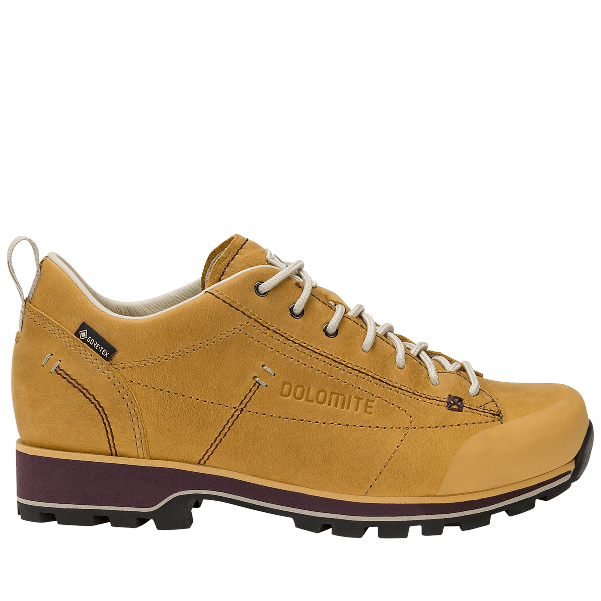 Dolomite 54 Low FG Evo GORE-TEX women's shoe - Shoes at PeakStyle