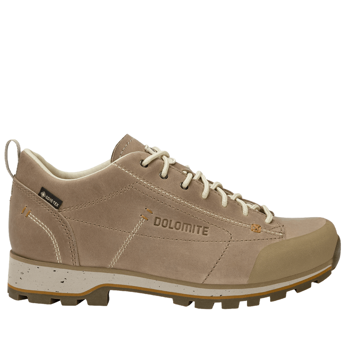 Dolomite 54 Low FG Evo GORE-TEX women's shoe - Shoes at PeakStyle