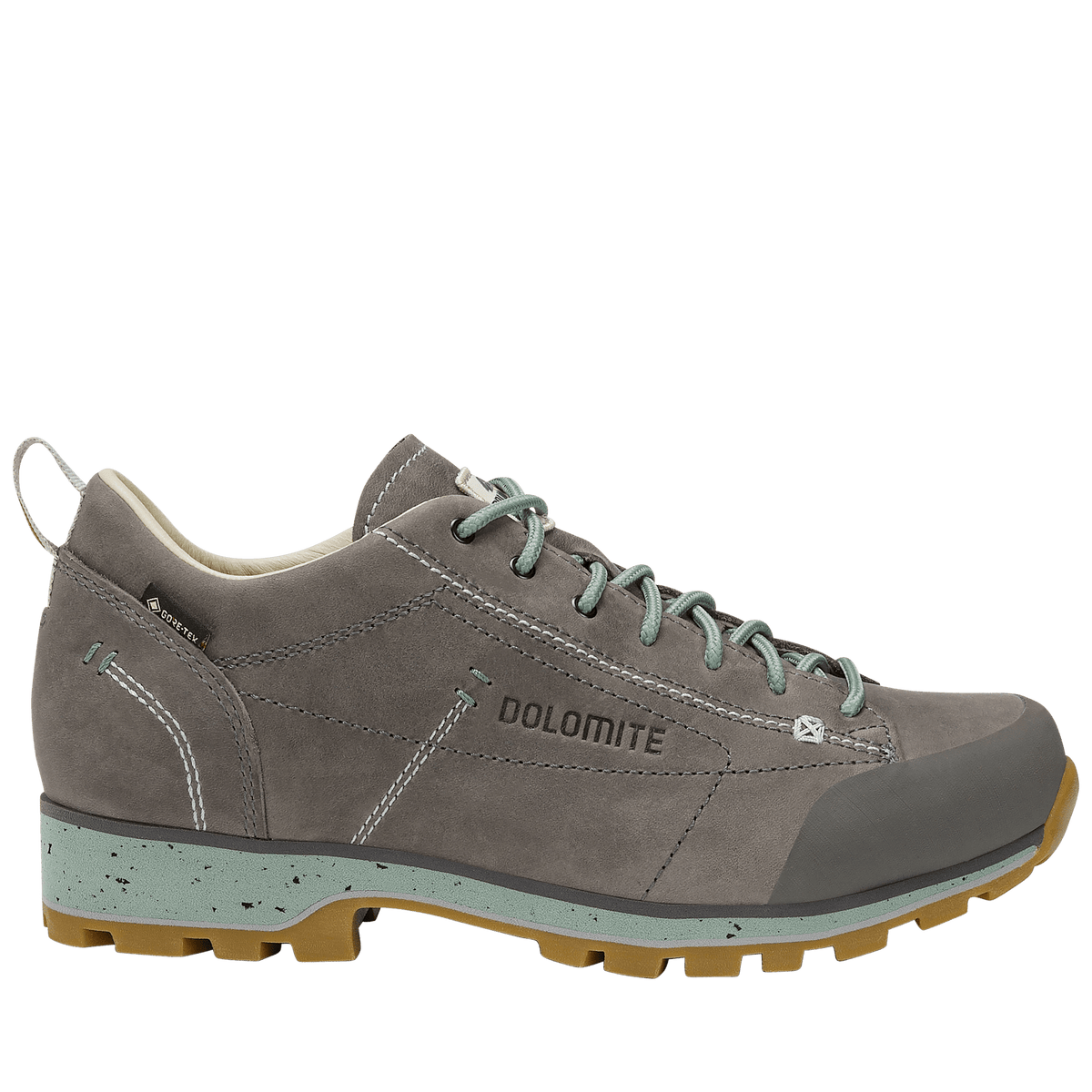 Dolomite 54 Low FG Evo GORE-TEX women's shoe - Shoes at PeakStyle