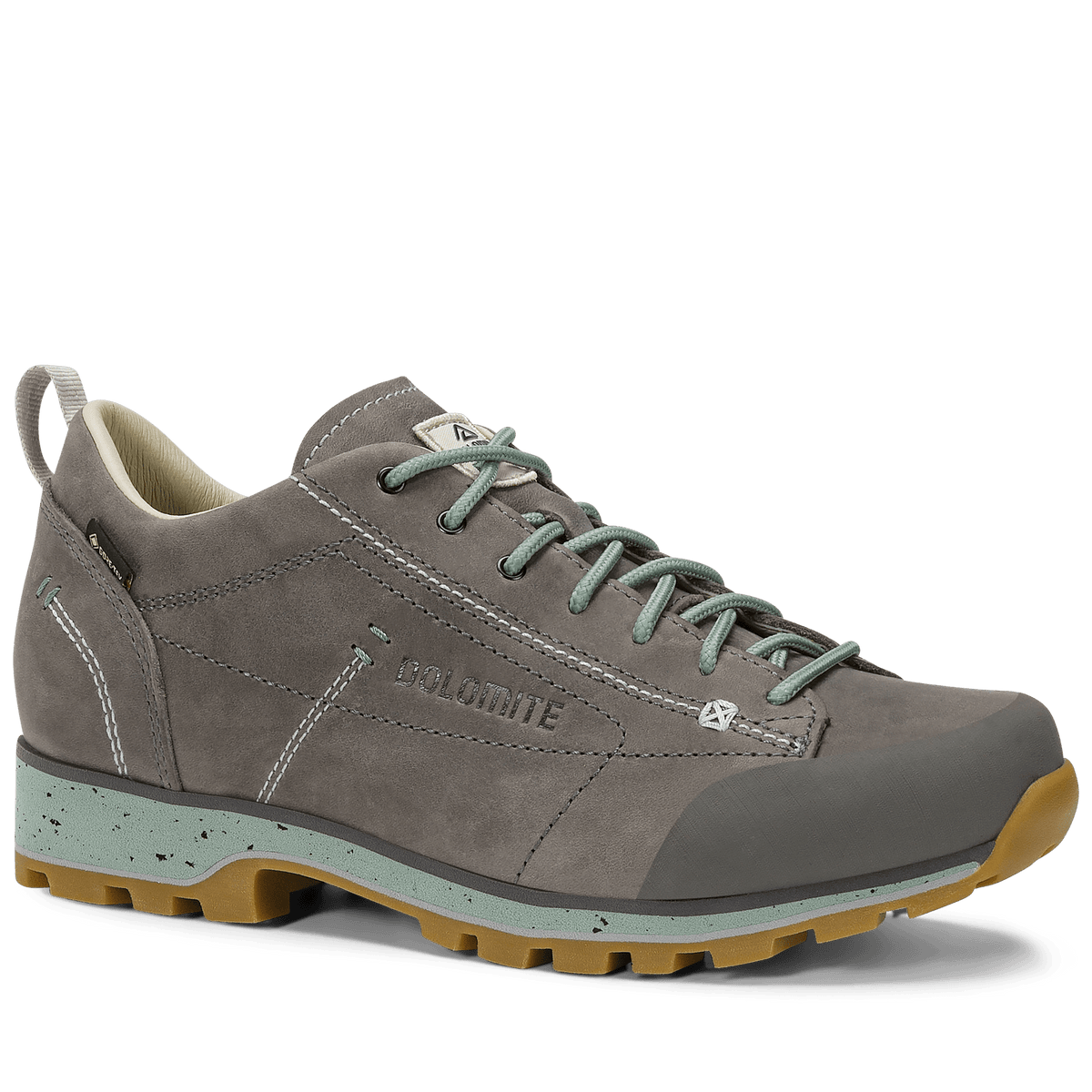 Dolomite 54 Low FG Evo GORE-TEX women's shoe - Shoes at PeakStyle