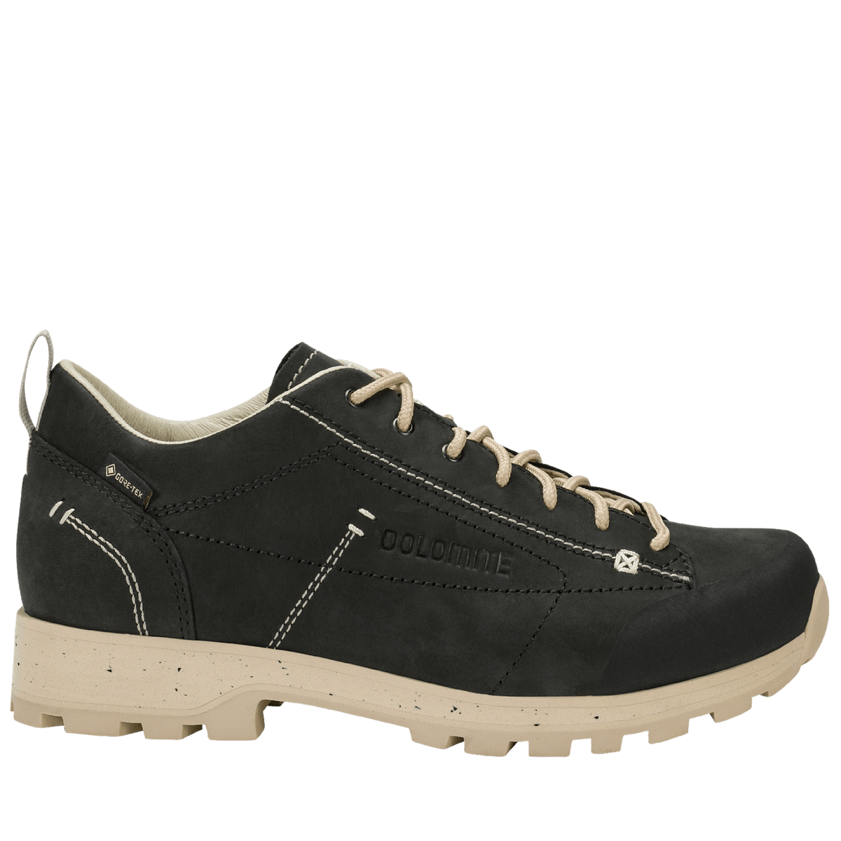 Dolomite 54 Low FG Evo GORE-TEX women's shoe - Shoes at PeakStyle