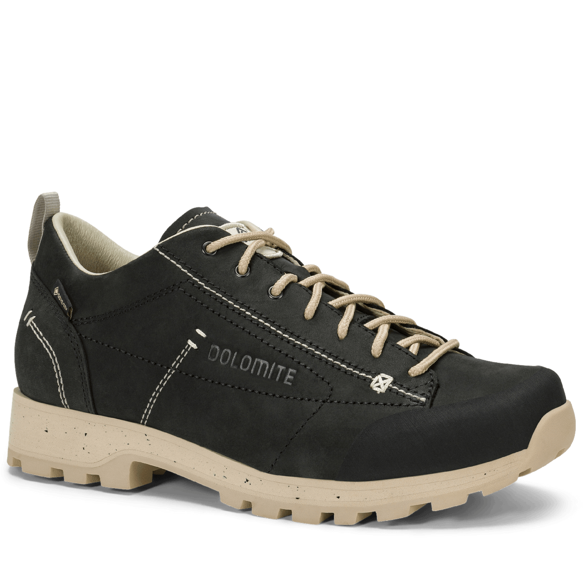 Dolomite 54 Low FG Evo GORE-TEX women's shoe - Shoes at PeakStyle
