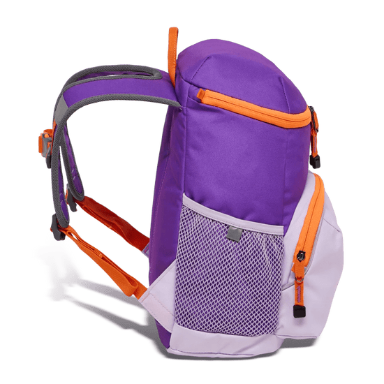 Jack Wolfskin EXPERIENCE PACK - Bags at PeakStyle