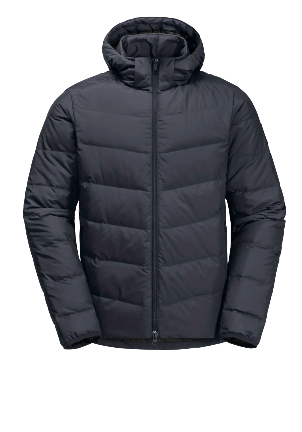 Jack Wolfskin M COLONIUS JACKET M RDS - Jackets at PeakStyle