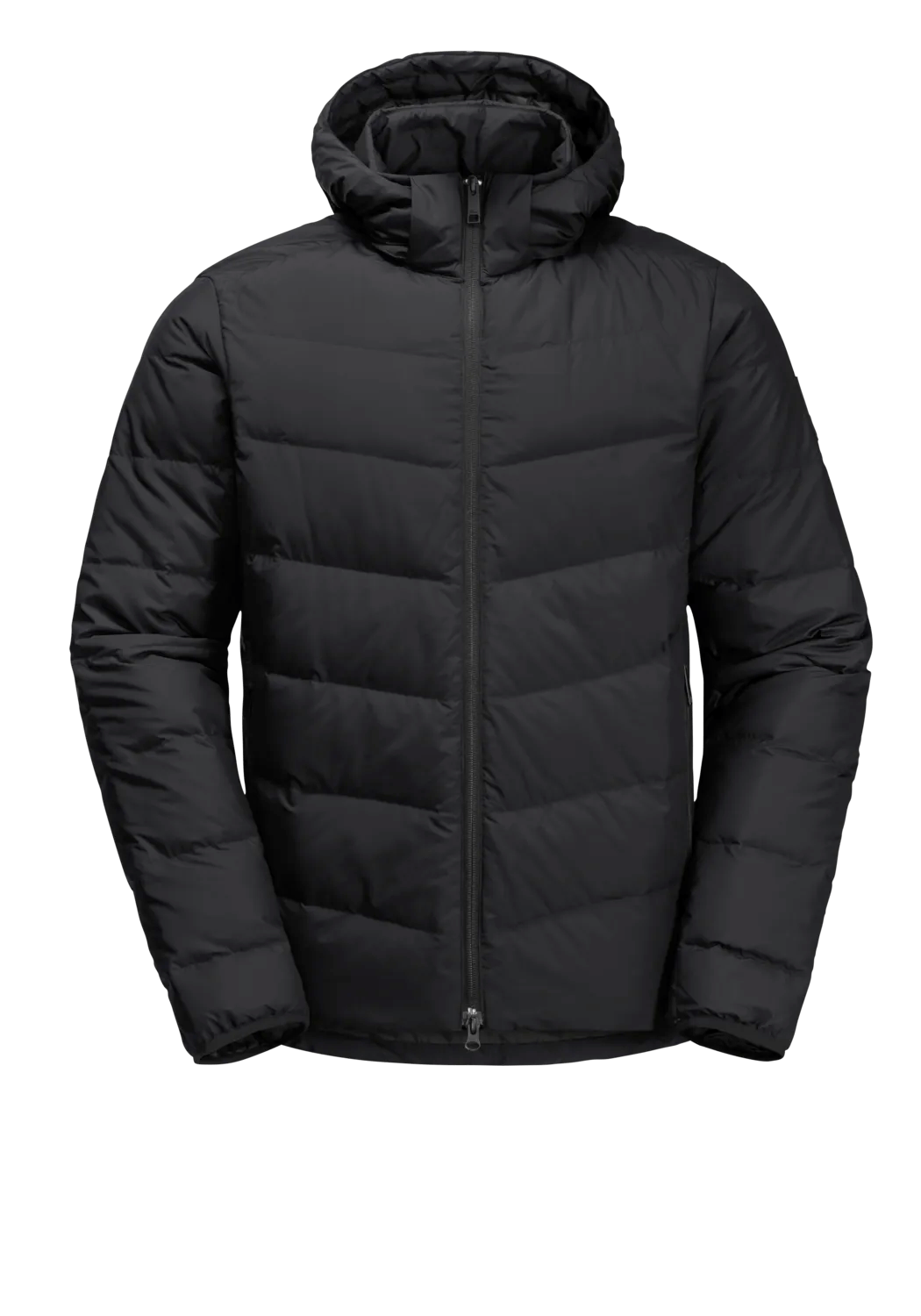 Jack Wolfskin M COLONIUS JACKET M RDS - Jackets at PeakStyle