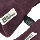 Jack Wolfskin M FLEECE MITTEN K - Gloves at PeakStyle