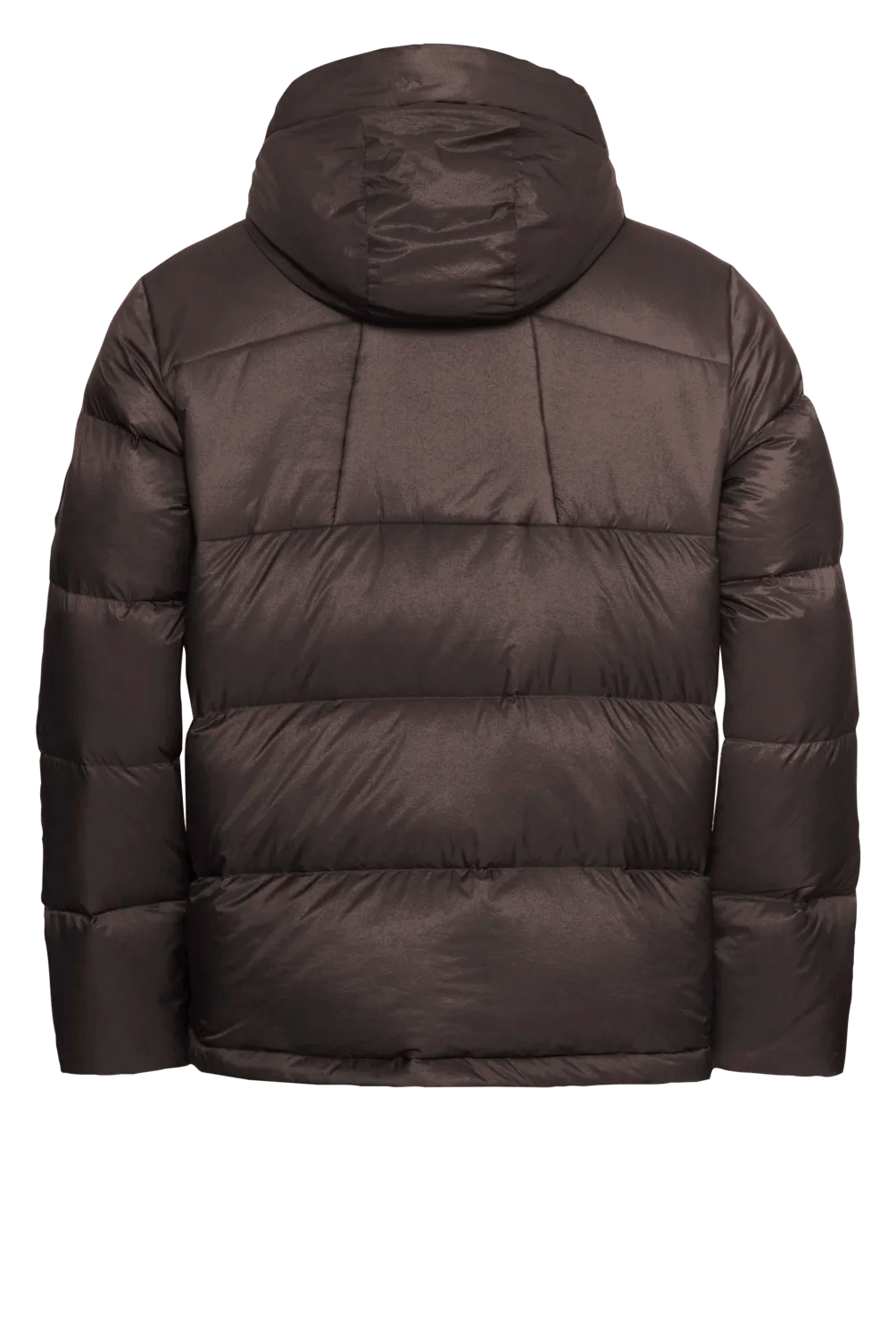 Jack Wolfskin M ICY HILL JACKET M RDS - Jackets at PeakStyle