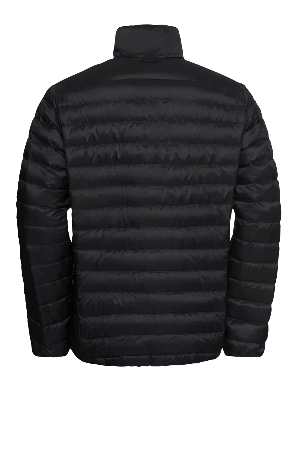 Jack Wolfskin M PILVI DOWN JACKET M RDS - Jackets at PeakStyle