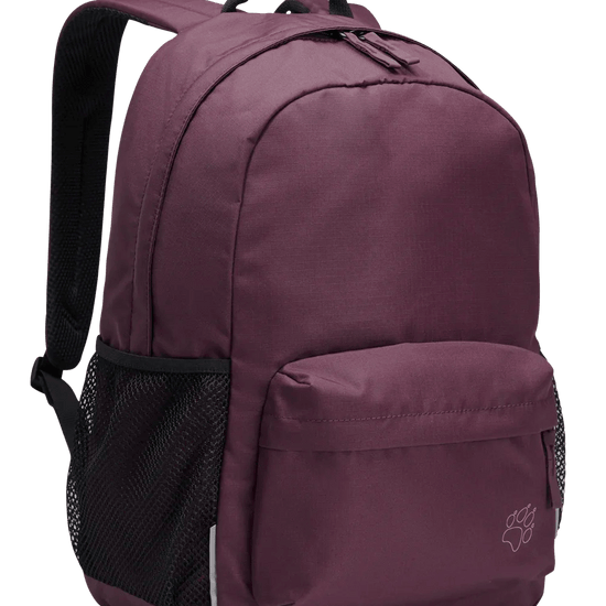 Jack Wolfskin REBEL PACK 25 - Backpacks at PeakStyle