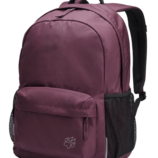 Jack Wolfskin REBEL PACK 25 - Backpacks at PeakStyle