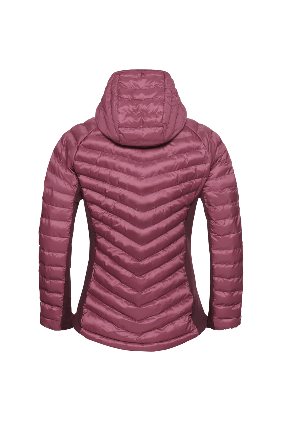 Jack Wolfskin W ROUTEBURN PRO INS JACKET W - Jackets at PeakStyle