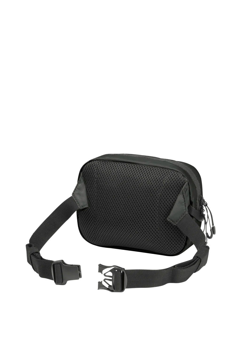 Jack Wolfskin WANDERMOOD HIPBAG - Hip bags at PeakStyle