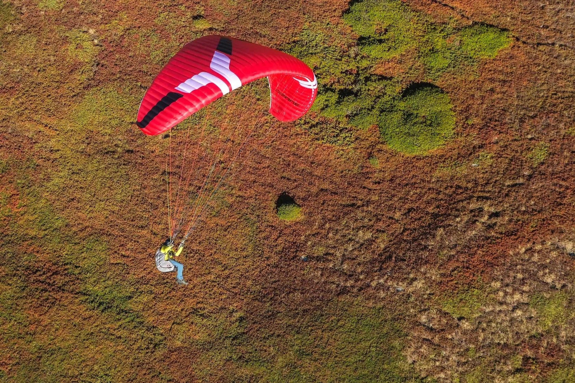 Ozone Geo 7 - Gleitschirm bei PeakStyle